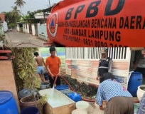 14 Titik Minta Air Bersih, BPBD Bandarlampung Juga Evakuasi Pohon Tumbang