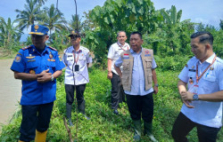 Sekda Tanggamus Tinjau Tanggul Way Belu, Siapkan Penanganan Darurat