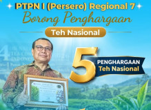 PTPN I (Persero) Regional 7 Borong 5 (Lima) Penghargaan Teh Nasional