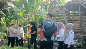 Polsek Pulau Panggung Identifikasi Temuan Jenazah Tergantung di Pohon Alpukat