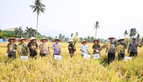 Panen Raya, Bupati Nanda Tekankan Penguatan Pendampingan Petani Guna Jaga Produktivitas Pertanian