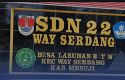 Pembangunan Revitalisasi SDN 22 Way Serdang Berjalan Lancar