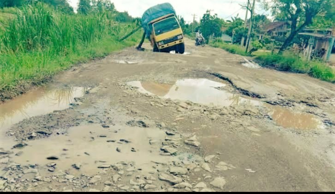 Usai Merasakan Sensasi Jalanan Kubangan Kerbau, Jokowi Diminta Bawa Gubernur Lampung ke KPK