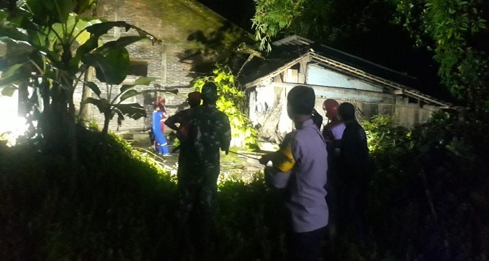 Hujan Deras Disertai Angin di Mrebet, Tiga Pohon Tumbang Timpa Rumah Warga