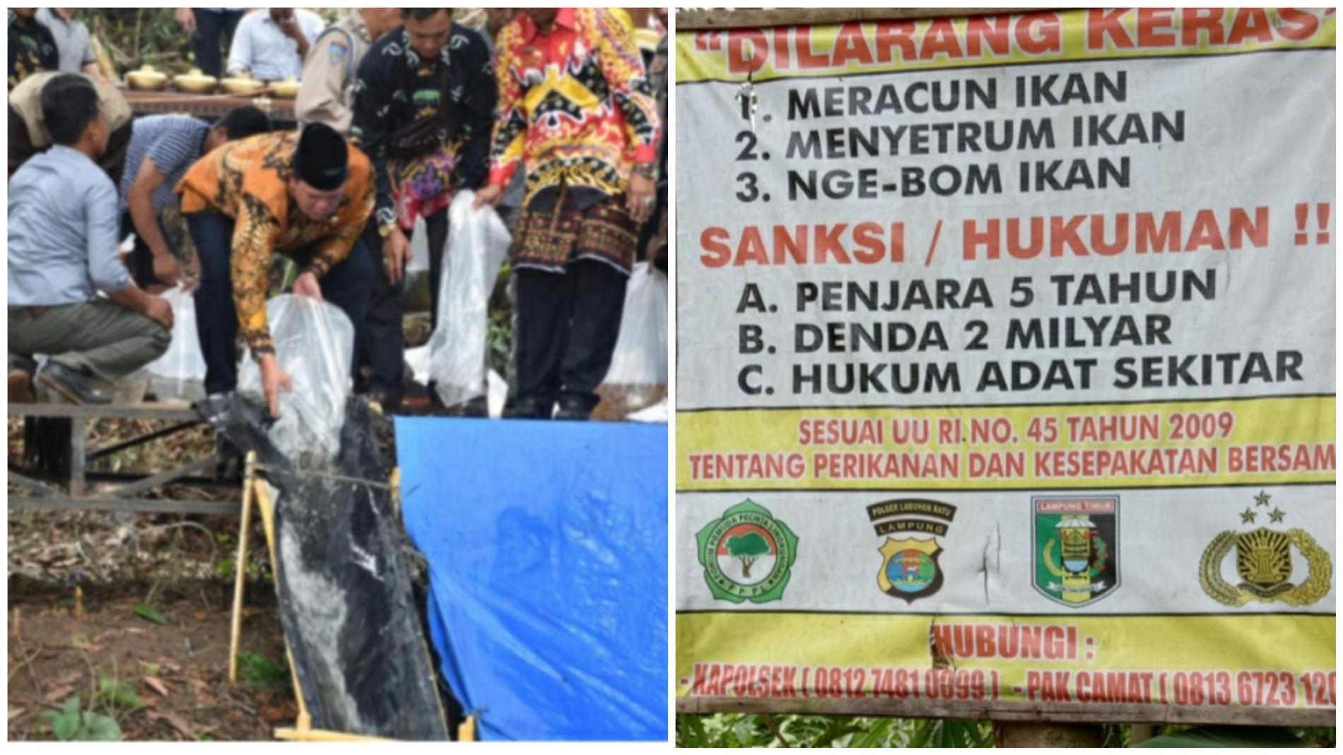 20 Ribu Bibit Ikan yang Ditebar Wabup Lamtim Diduga Mati Akibat Limbah BW