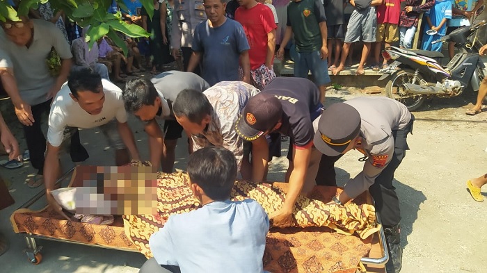 Penderes Nira Tewas Jatuh dari Pohon Kelapa, Korban Ternyata Sudah Lima Kali Tergelincir