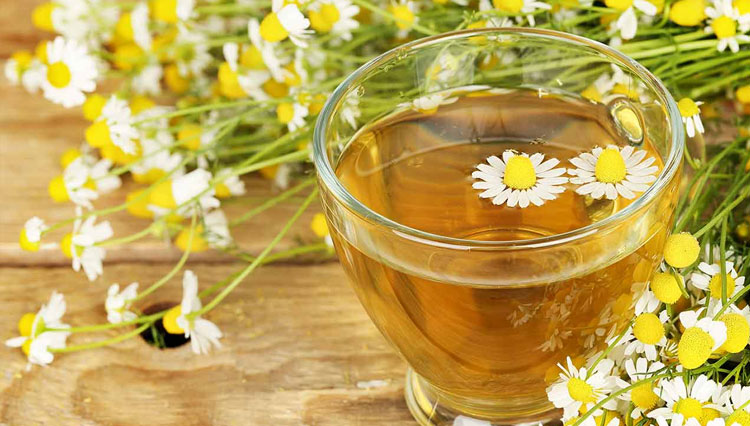 7 Manfaat Kesehatan Teh Chamomile Menurut Tinjauan Penelitian
