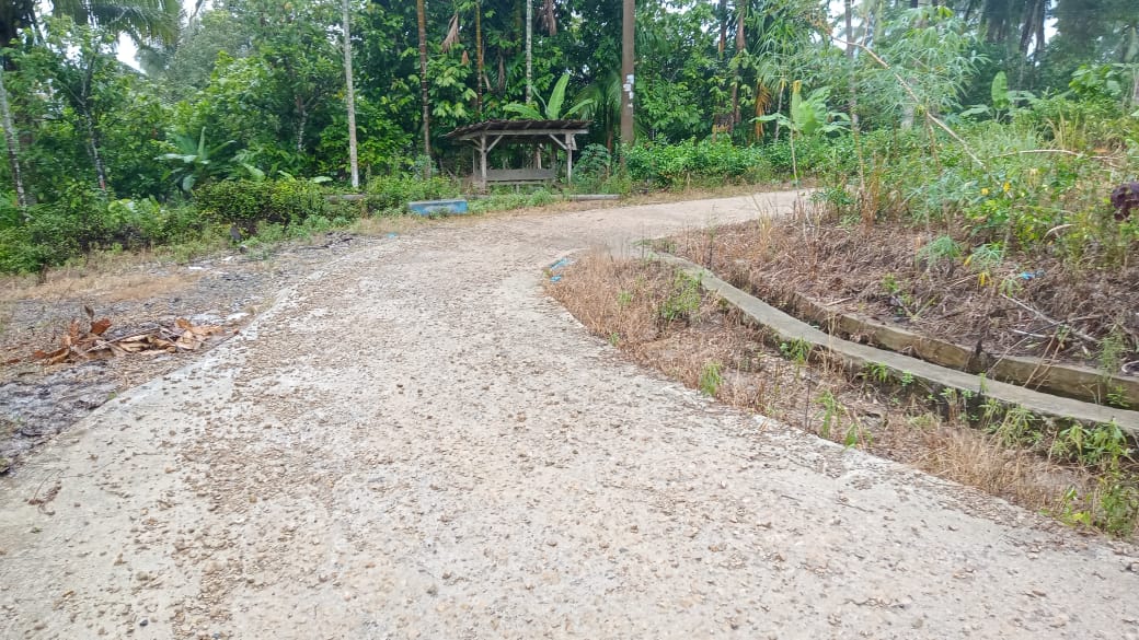Rontok dan Tipis, Rabat Beton Seperti Kue Kering di Wayratai
