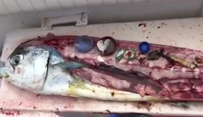 Studi: Daur Ulang Plastik Ternyata Lebih Mengancam Kelangsungan Hidup Manusia