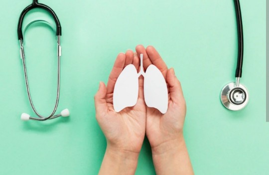 Ilustrasi Organ Tubuh Ginjal 