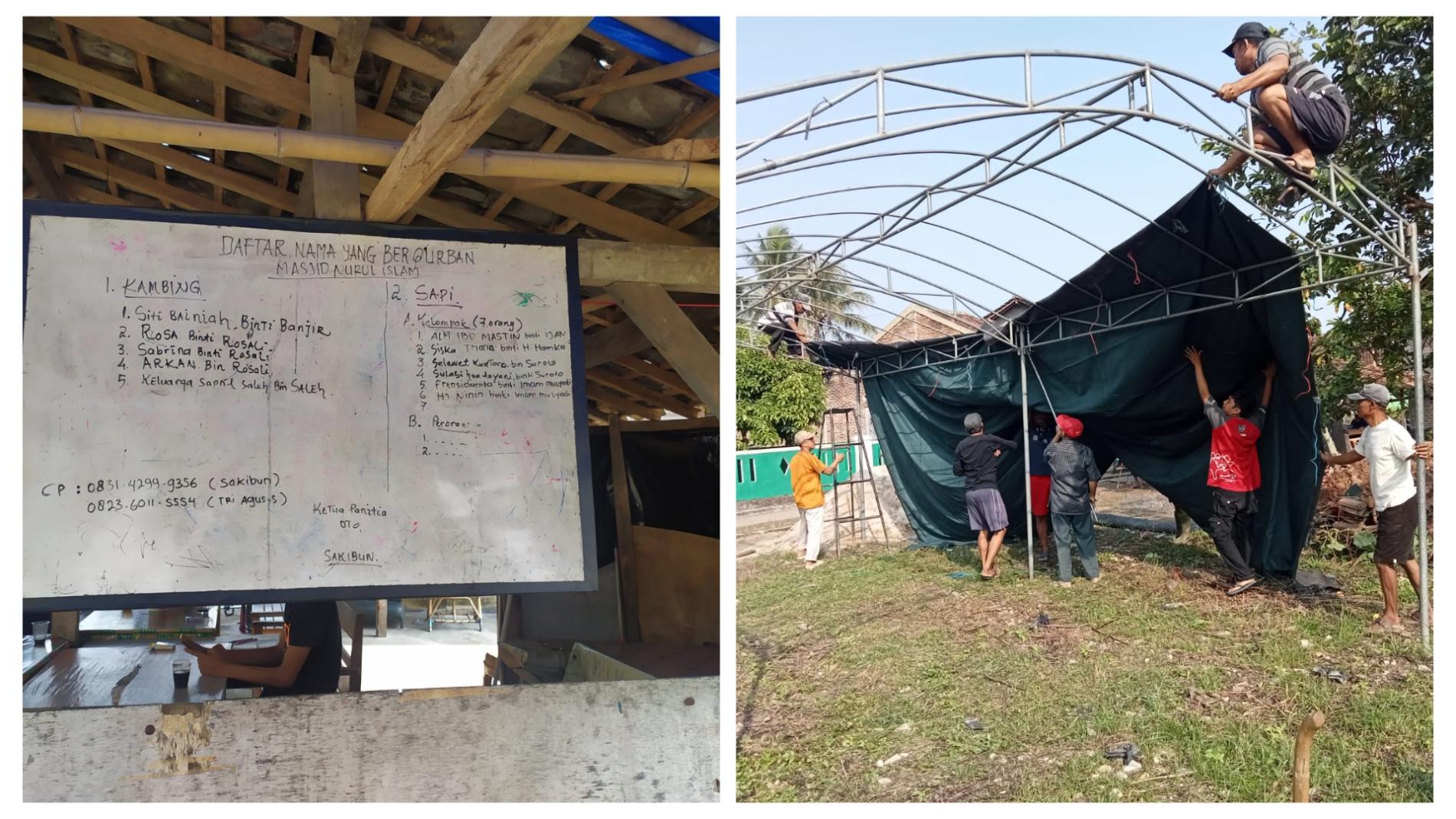 Warga Gotong Royong Siapkan Hewan Kurban di Dusun 7, Gedongtatan