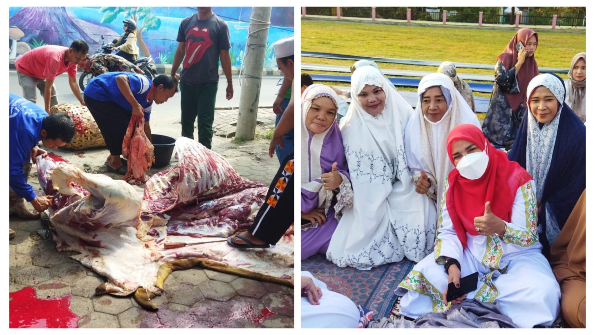 Wali Kota Eva Kurban 73 Sapi dan 31 Kambing untuk Tunanetra dan Mustahiq