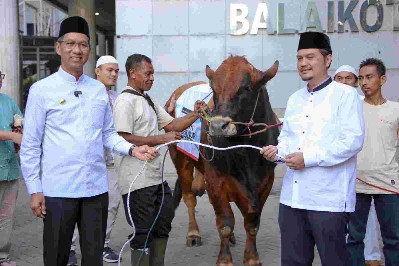 Warga Jakarta Dihimbau Tak Buang Limbah Hewan Kurban Sembarangan, Bisa Timbulkan Penyakit 