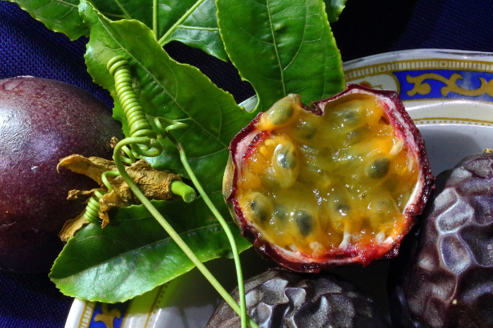 Mulai dari Menjaga Kulit Tetap Segar, Hingga Menguatkan Tulang, Berikut 9 Manfaat Buah Markisa