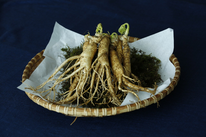 Dari Kulit Bercahaya Hingga Penambah Energi, Berikut 7 Manfaat Ginseng Korea Bagi Tubuh Anda