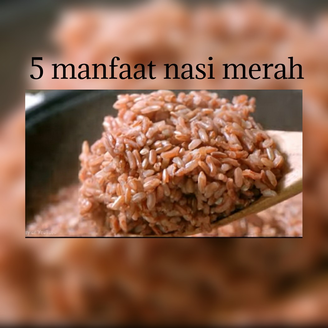 Ragam Manfaat Kesehatan Jika Rutin Mengonsumsi Beras Merah Bagi Tubuh Anda