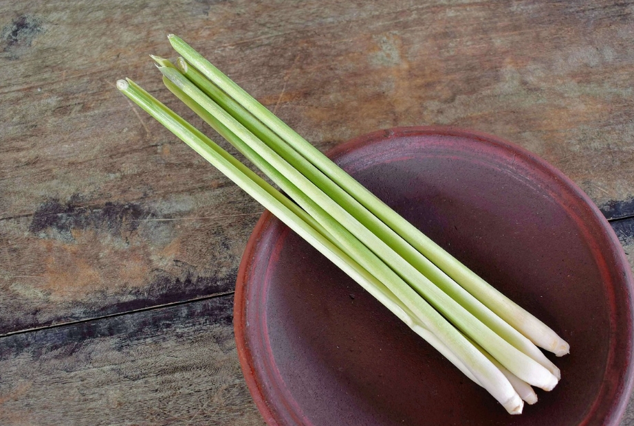 Daunnya Berkhasiat Sembuhkan Luka, Selain Bumbu Masakan, ini Manfaat Serai untuk Obat Alami