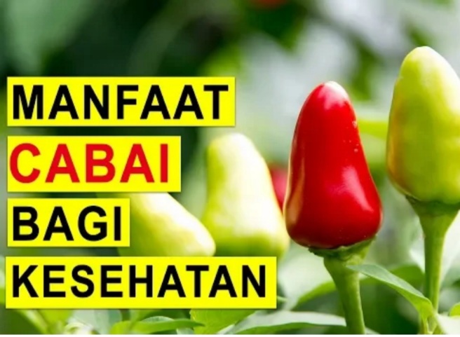 Cegah Kanker Hingga Atasi Hidung Tersumbat, Berikut Manfaat Cabai yang Mungkin Belum Anda Ketahui