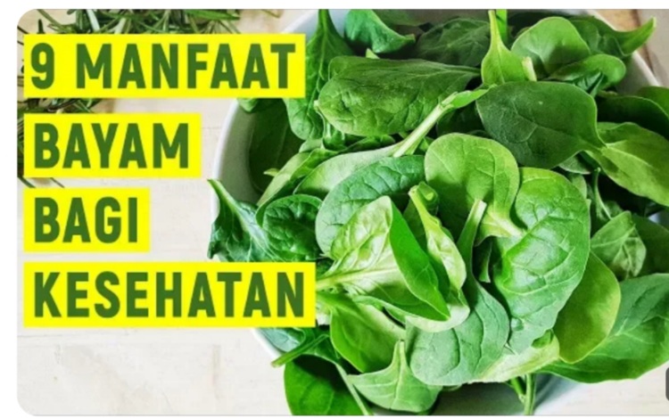 Ampuh Mencegah Kanker, Berikut 9 Manfaat Bayam untuk Kesehatan Anda dan Keluarga