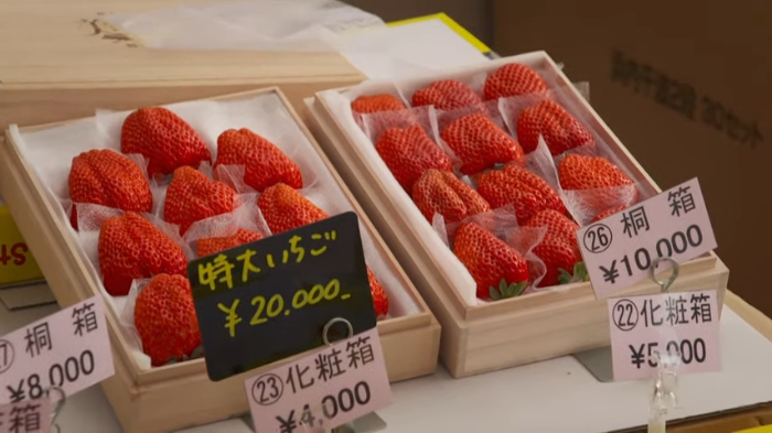 Saingi Stroberi Viral Ci Mehong, Stroberi Super Besar dan Manis ini Dibandrol Rp5,3 Juta per Buahnya