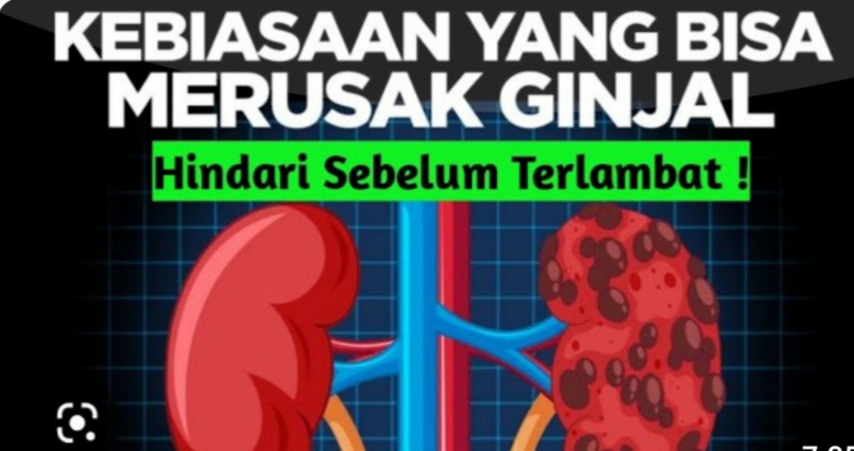 Rubah Gaya Hidup Sekarang Juga, Berikut Kebiasaan yang Dapat Membahayakan Fungsi Ginjal Anda