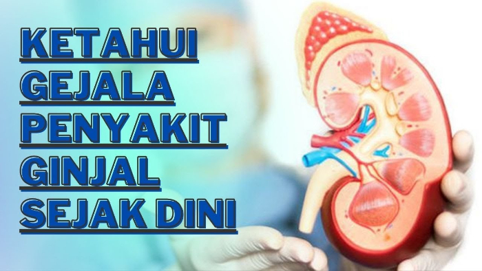 Begini Cara Alami Serta Langkah Medis yang Bisa Dilakukan untuk Mengeluarkan Batu Ginjal