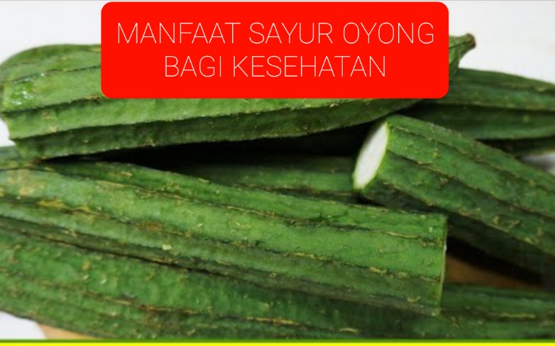 13 Khasiat Oyong atau Gambas untuk Kesehatan, Cegah Penyakit Jantung Hingga Asam Urat