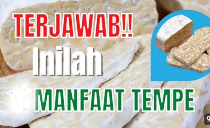 Jangan Dipandang Sebelah Mata, Berikut Khasiat Luar Biasa Tempe untuk Kesehatan Anda