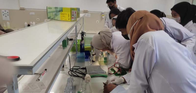 Inilah Daftar 16 Perguruan Tinggi Swasta Terbaik Versi Scimago Institutions Ranking 2023