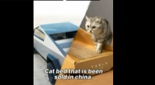  Terinspirasi Cybertruck di China, Tesla Rilis Rumah Kucing Kardus, Penasaran Bentuknya?