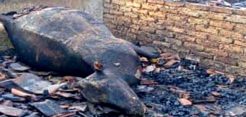 TERBAKAR