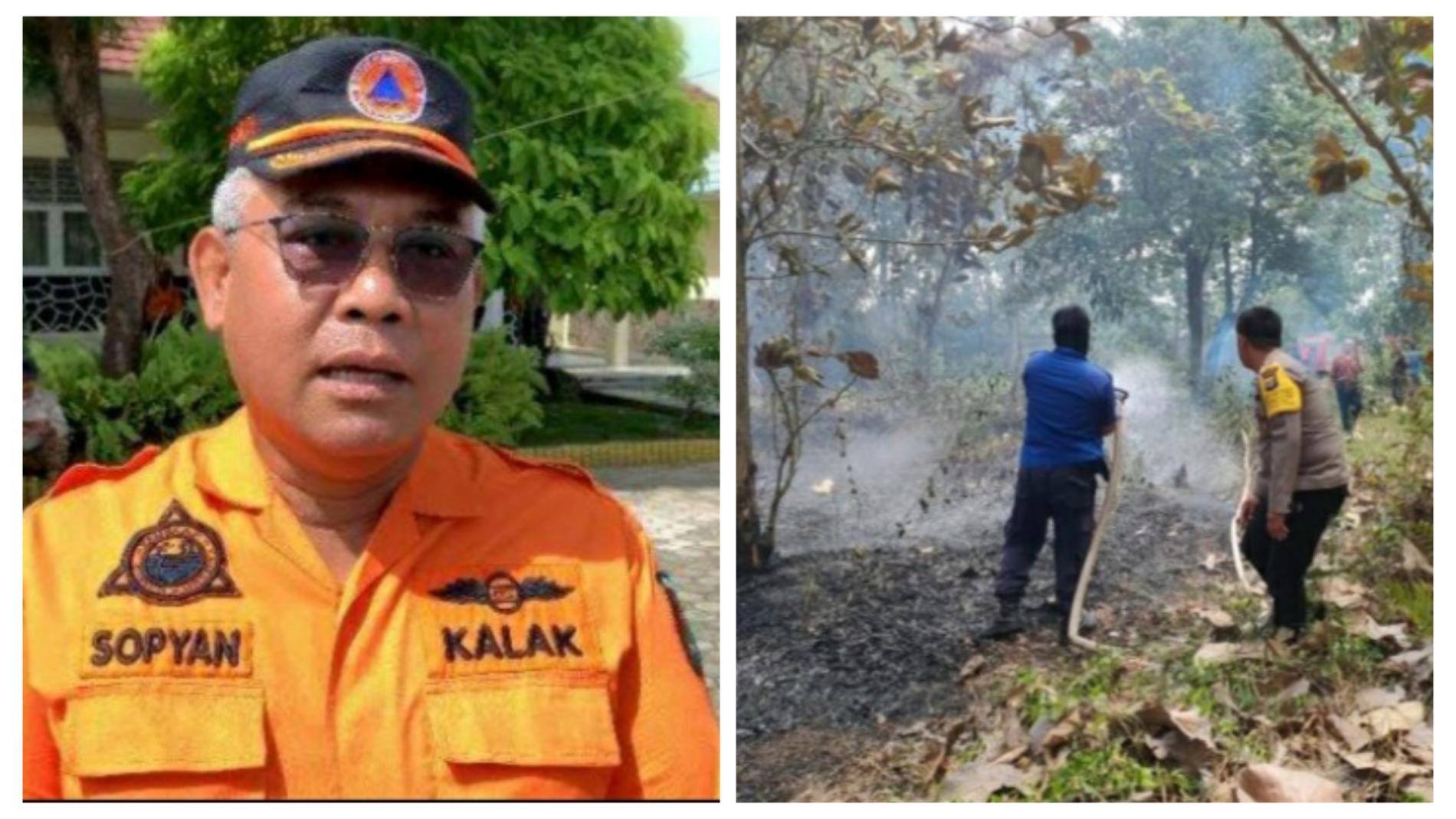 Gara-Gara Bocah Masak-Masakan, Kebun Ludes Terbakar di Pesawaran