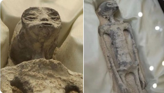  Apakah Kamu Percaya Alien? Wartawan di Meksiko ini Pamerkan Temuan Mengejutkan 