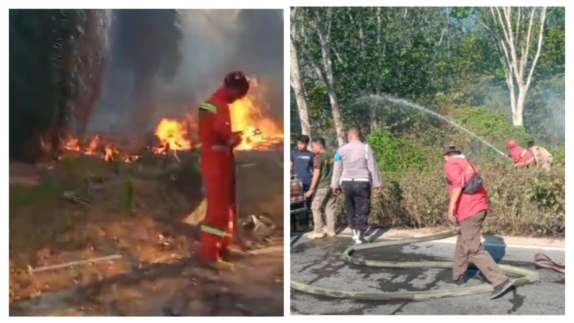 Kebun Karet dan Sawit PTPN VII Terbakar di Kabupaten Lamsel