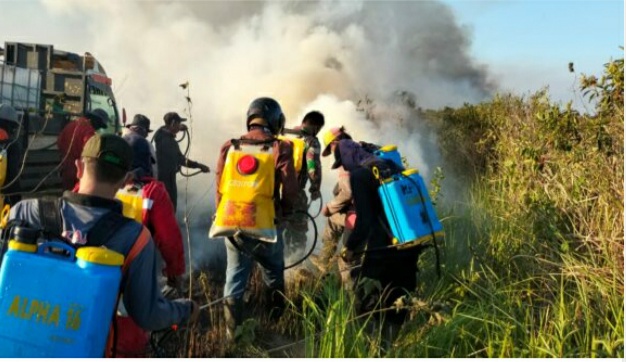 Habitat Gajah Terbakar 24 Jam di Belukar Inti TNWK