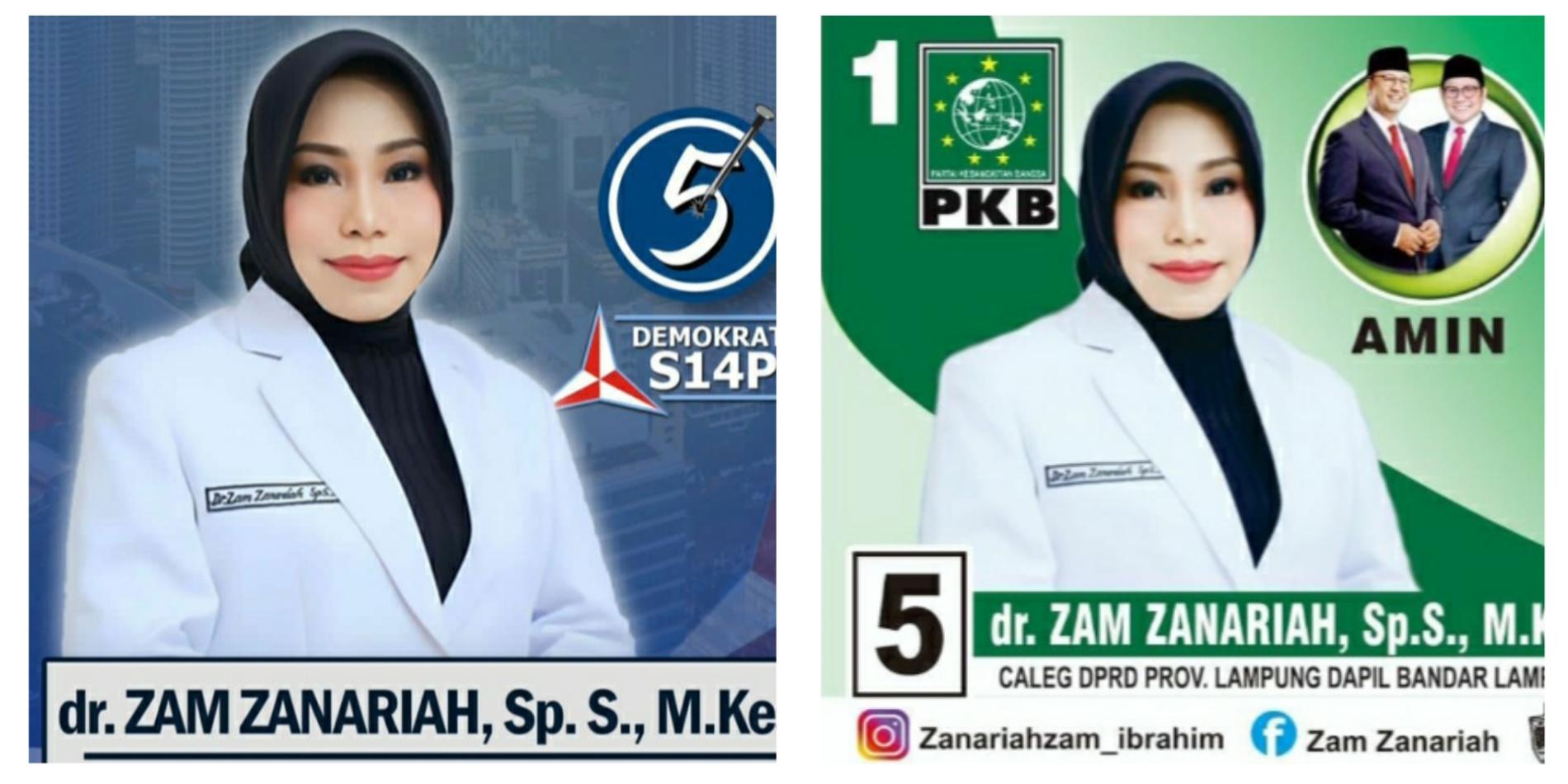 Zam Zanariah Nyaleg Lewat 2 Partai, Ini Tanggapan Demokrat Lampung