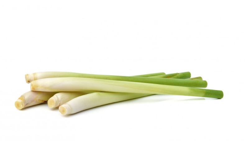 Manfaat Daun Serai untuk Kesehatan: Khasiat Luar Biasa dari Tumbuhan Aromatik