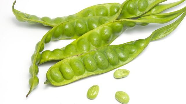 Banyak yang Tidak Tahu! Cara Mudah Menghilangkan Bau Setelah Makan Petai dan Jengkol dengan 7 Hal Ini