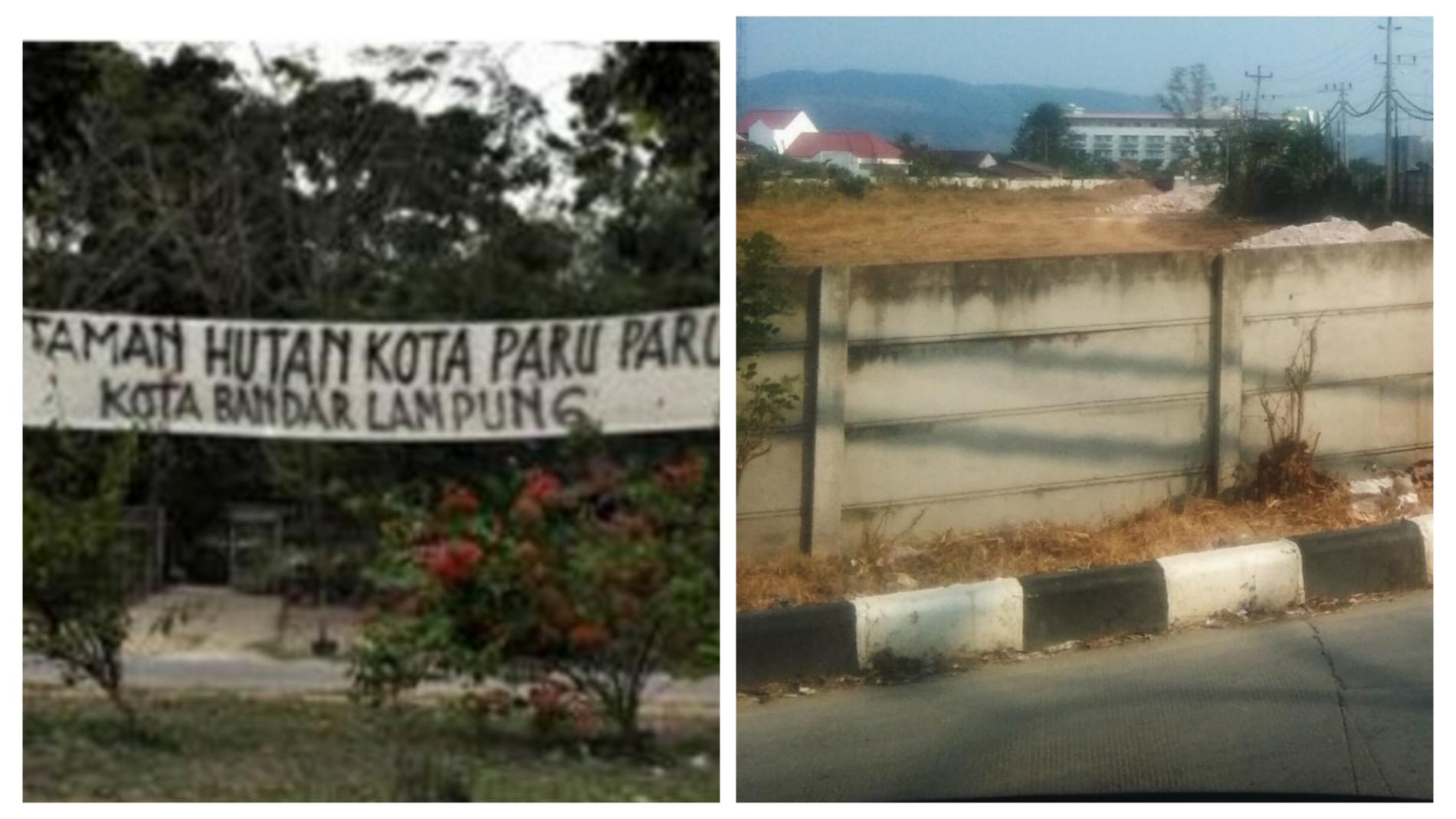 Hektaran Hutan Kota Diratakan Pengusaha di Wayhalim