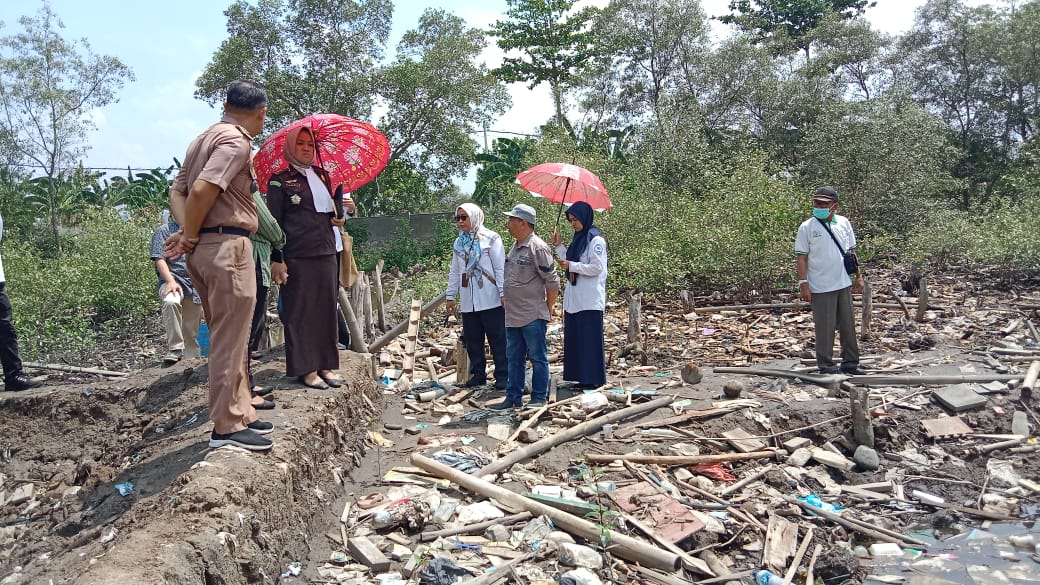 Sidang Terbuka Hutan Mangrove Kotakarang, Advokat Syamsul Arifin Ungkap Fakta Baru