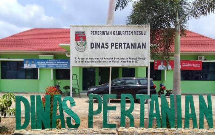 Sapi Bantuan Berkurang Separuh, Dinas Pertanian Mesuji Terkesan Tak Peduli