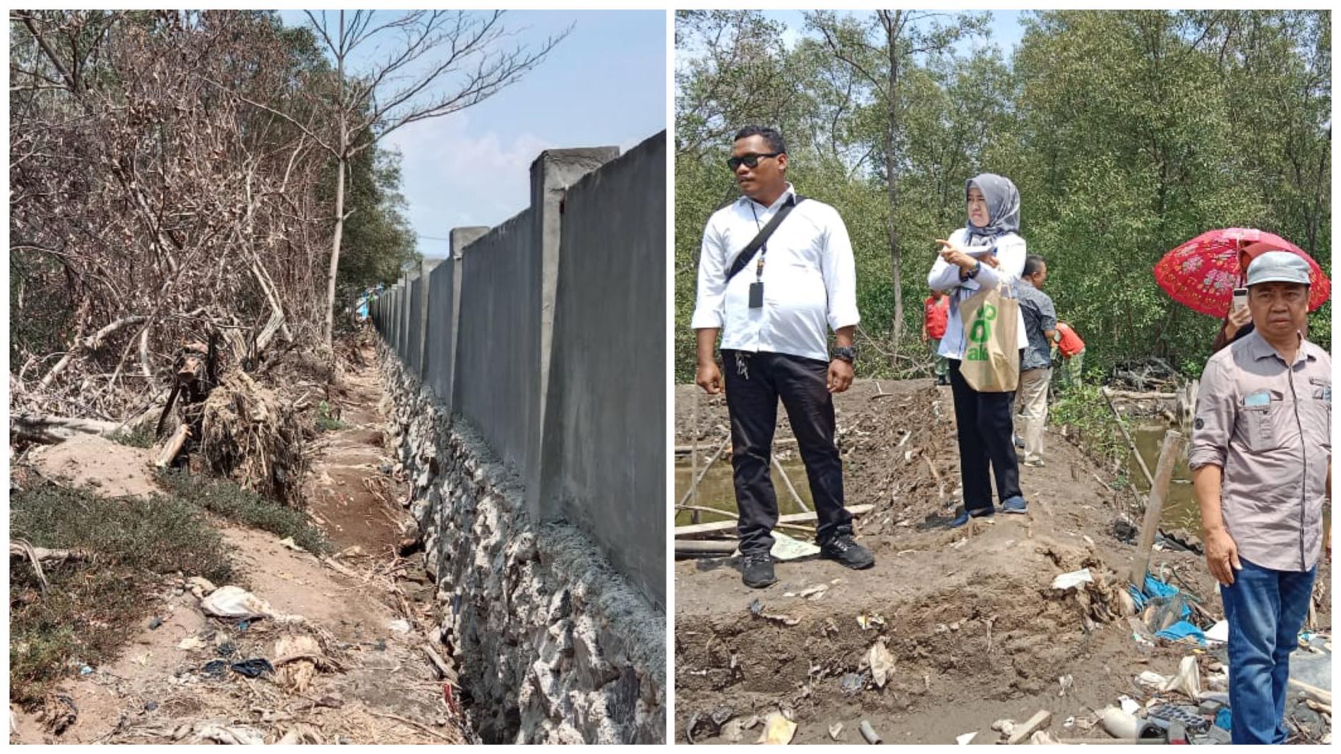 Bikin Kolam Ikan di Hutan Mangrove, Nelayan Miskin Dituntut 2,5 Tahun Penjara dan Denda Rp2 M