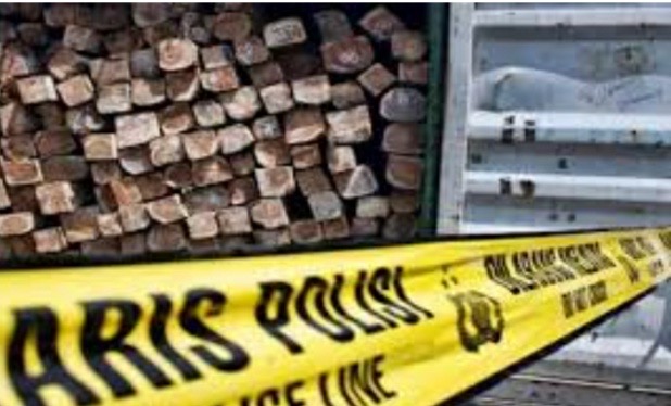 Bisnis Jual Beli Kayu, PNS Asal Jambi Tipu Polisi Asal Lamtim