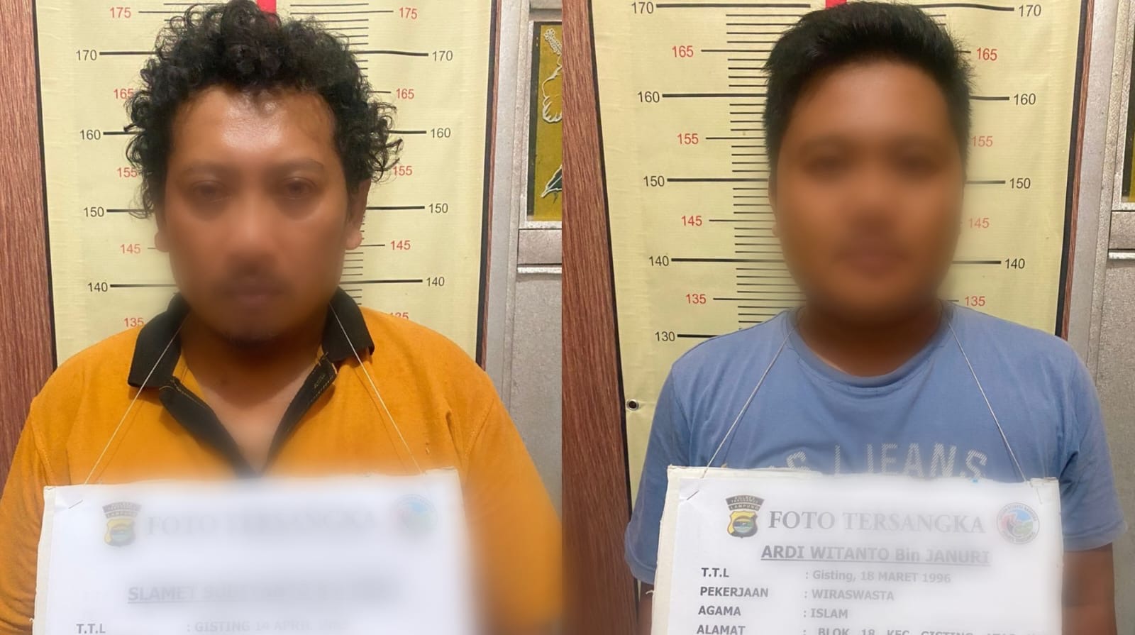 Polres Tanggamus Tangkap 2 Pemakai dan Pengedar Narkoba