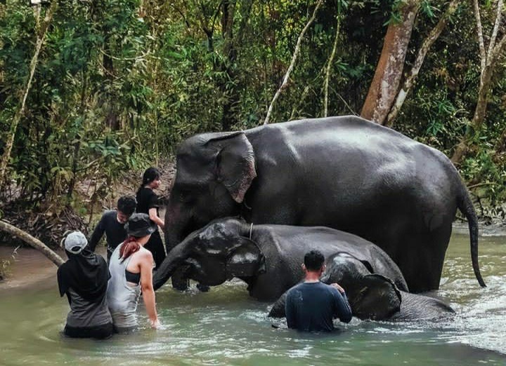 TNWK Buka Kembali 20 Desember 2023, Ada Sejumlah Aturan Baru