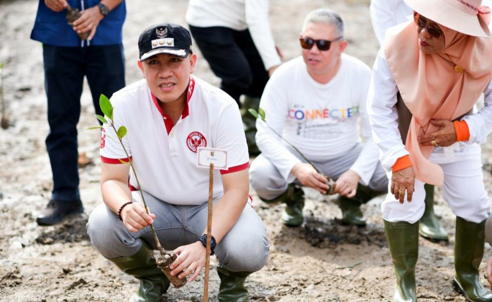 Bupati Pesawaran Dendi Baksos Penanaman Mangrove