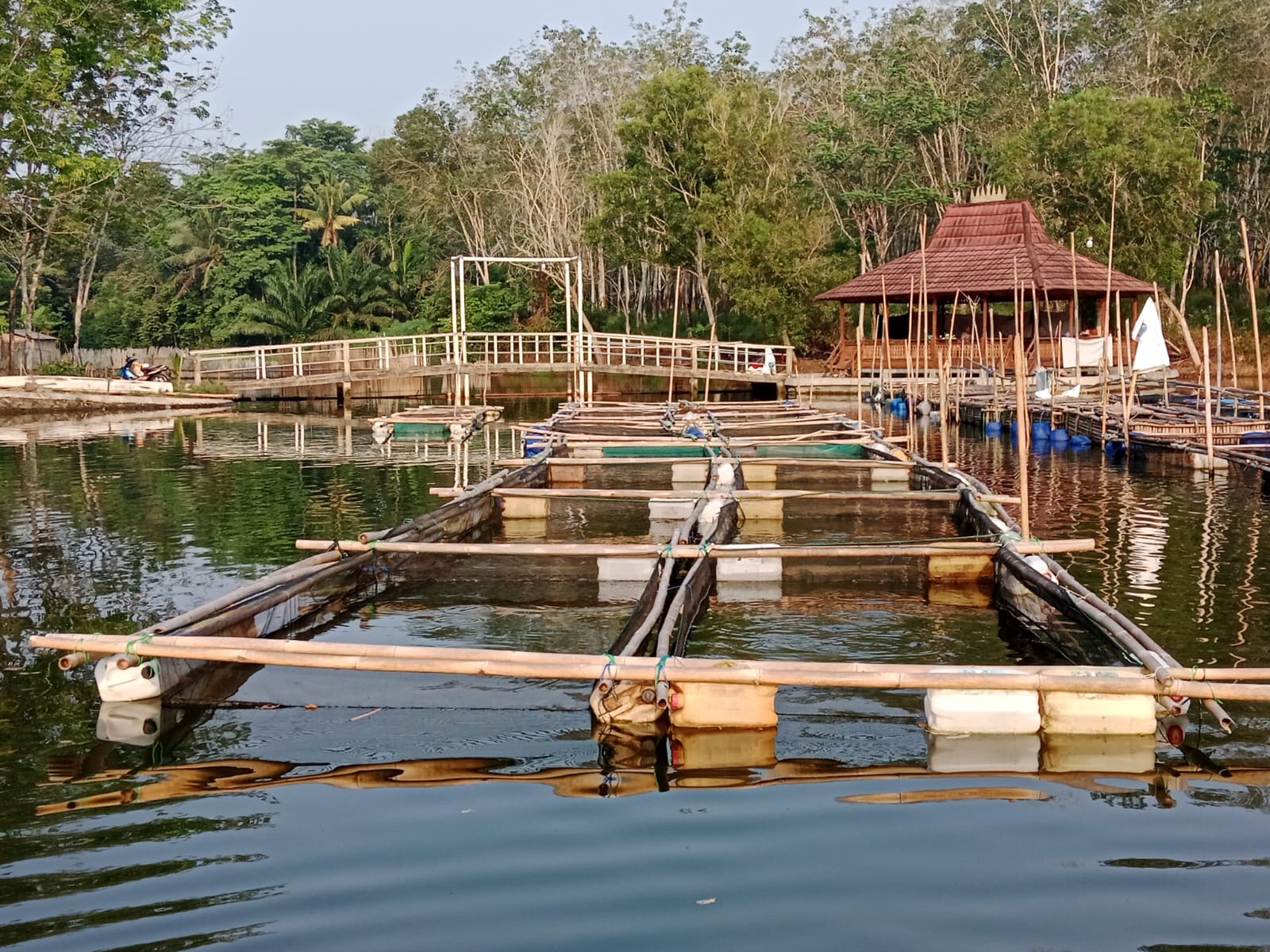 Ini Realisasi DD Tiyuh Lesung Bhakti Jaya Tahun Anggaran 2023
