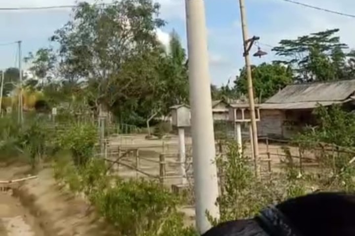 Warga Tolak Pemasangan Tiang Beton Listrik di Register 45 Mesuji