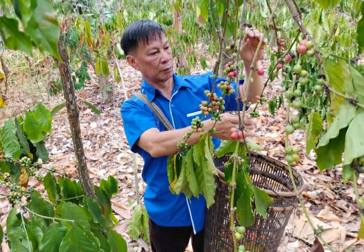 Lembaran Kisah Berliku Kegigihan Anak Petani Kopi Menuju Senayan