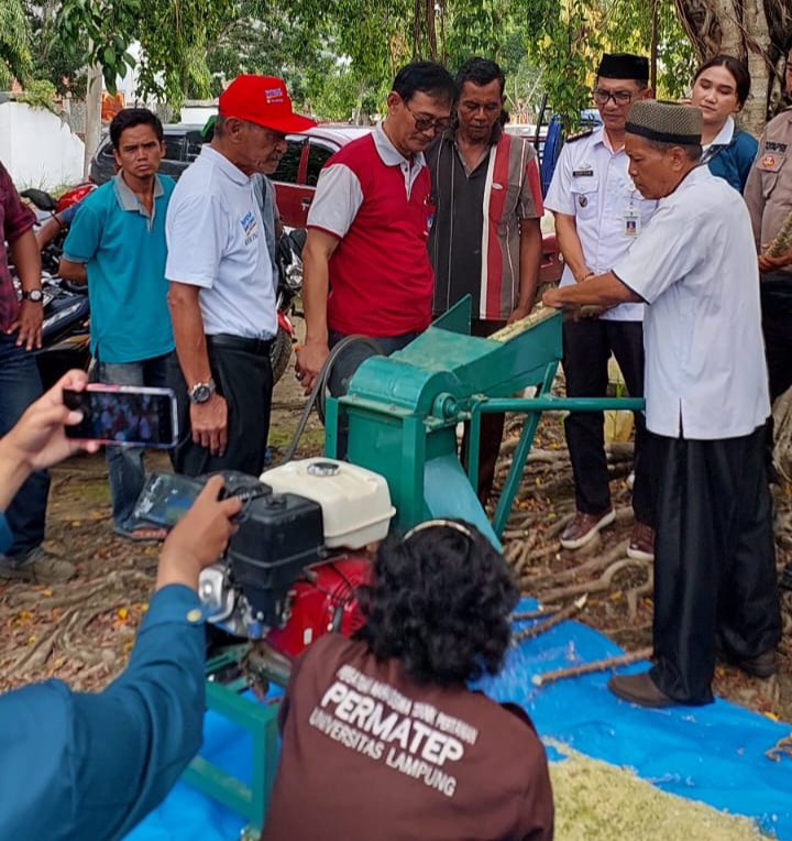 KKN Unila Olah Limbah Batang Singkong Jadi Pupuk dan Pakan Ternak